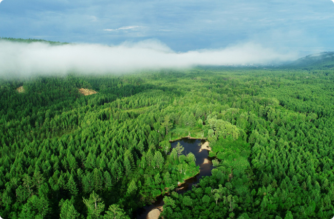 �֘I̼�R�Ŀ�������x��ָ�ϣ�����x̼�R�־W��