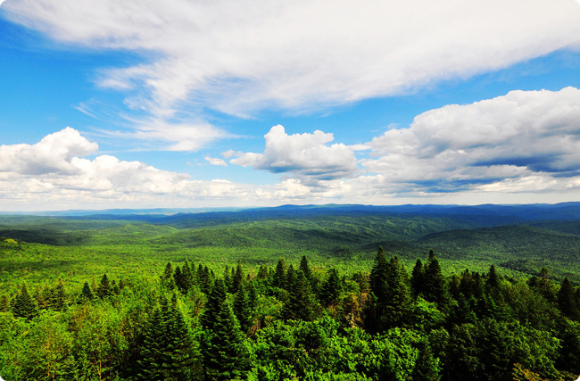 2025�Ї�(gu��)�֘I(y��)̼�R�l(f��)չ��(b��o)�棺�C(j��)���c����(zh��n)