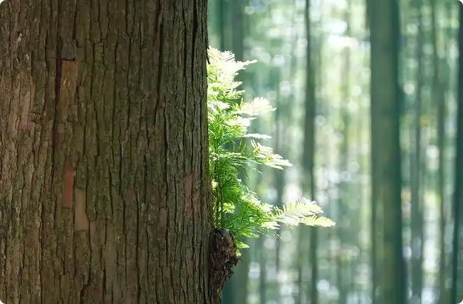 ���K�֘I(y��)̼�R����(chu��ng)���(q��)��(d��ng)�c�Ј�(ch��ng)ͻ��