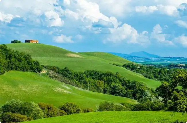 �ȸ�ѺעCO₂늳أ��ƽ���̼��Դ�y�}