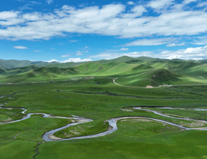 ��ظ�ԭ�׬F(xi��n)�����ŷ� �I(l��ng)���Ї�̼�к�